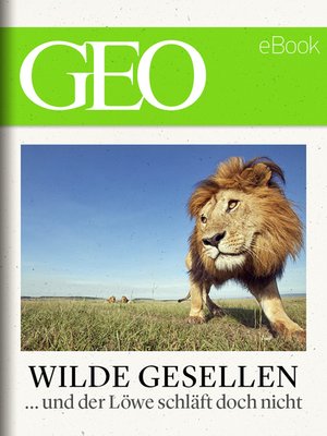 cover image of Wilde Gesellen